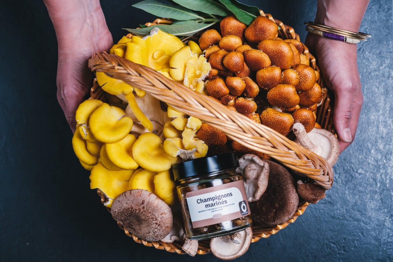 att.TL7BKIzjUwVOIu9v6mBcCUDhXg8FXrvSElu9aQQqv5o - Iris C